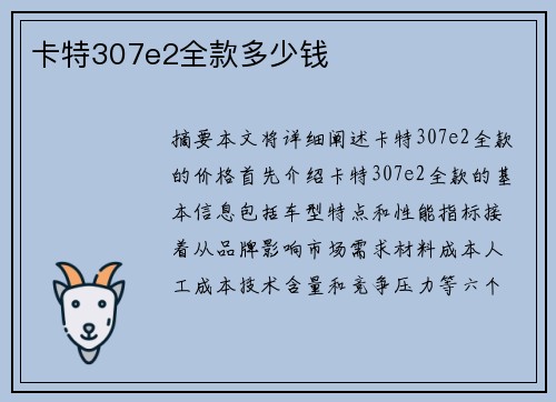 卡特307e2全款多少钱