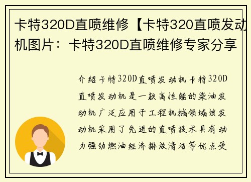卡特320D直喷维修【卡特320直喷发动机图片：卡特320D直喷维修专家分享经验】